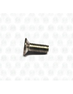 Countersunk Head S/S Screws V Head S/S Bolts for VW Split Screen Pop Out Window Hinge - Pack of 5 2