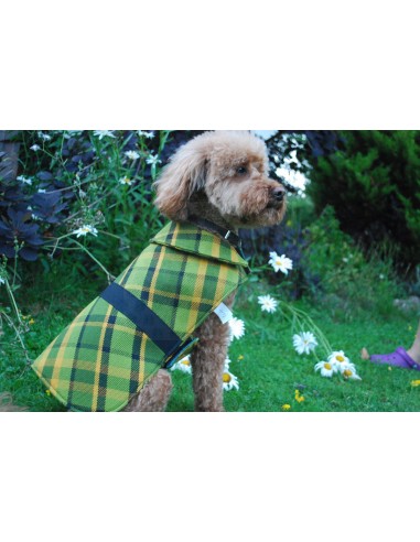 NLA Westy Westfalia big hand bag in Green plaid