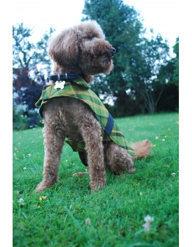 NLA Westy Westfalia big hand bag in Green plaid