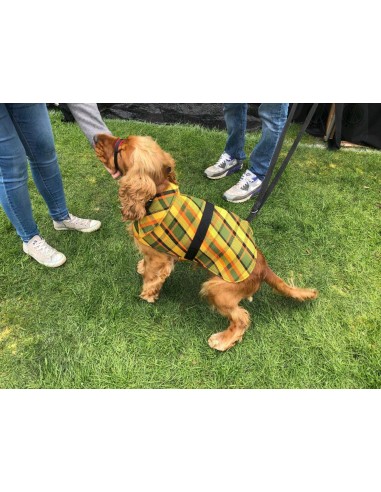 NLA Westfalia green plain material dog coat double sided with waterproof layer inside large