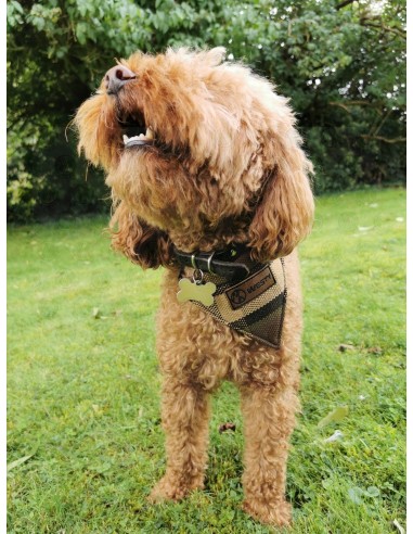 NLA Westfalia beige plain material dog coat double sided with waterproof layer inside medium
