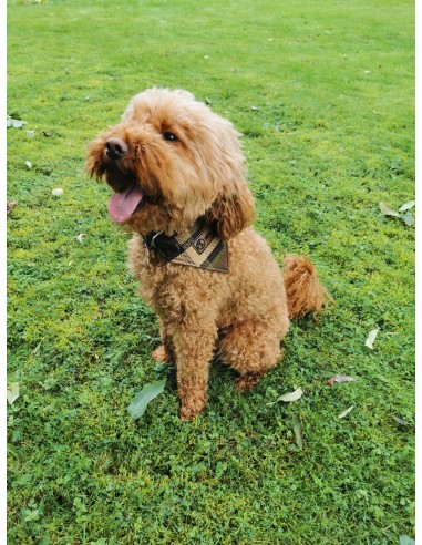 NLA Westfalia beige plain material dog coat double sided with waterproof layer inside medium