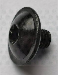 Black powder coated screws for T25 opening quater light glass hinges 2