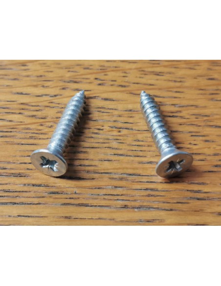 T2 Westfalia Bay Window Pair of Fitting Screws for Grab Handle Strap