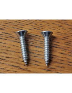 T2 Westfalia Bay Window Pair of Fitting Screws for Grab Handle Strap 2