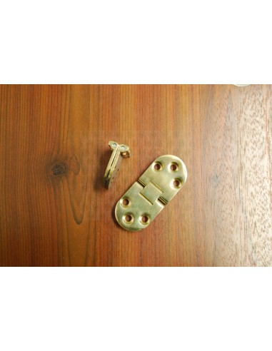 Brass Double jointed oval hinge for Westfalia folding table in Düsseldorf and Oxford models