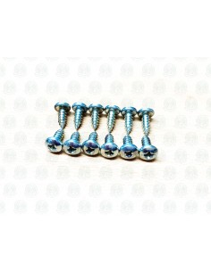 12 Screw Set for Westfalia Folding Table Hinges